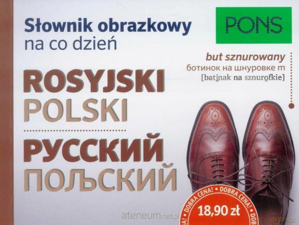 Słownik obrazkowy na co dzień. Rosyjski [KSIĄŻKA]