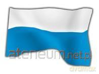 Flaga Maryjna 70x112