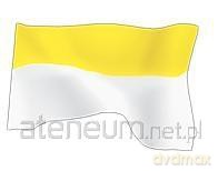 Flaga Papieska 70x112