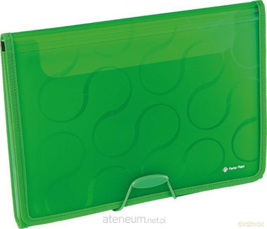 Folder A4 z 6 przegrodami Focus Omega zielony