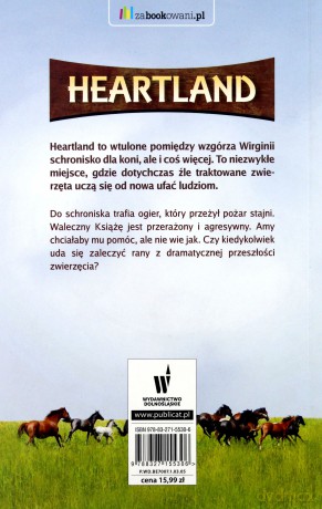 Blizny przeszłości. Heartland (Tom 7) - Lauren Brooke [KSIĄŻKA]