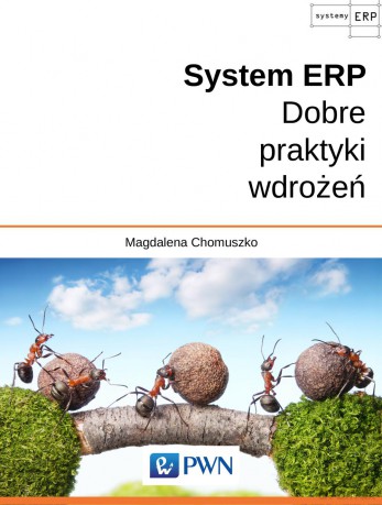System ERP. Dobre praktyki wdrożeń - Magdalena Chomuszko [KSIĄŻKA]