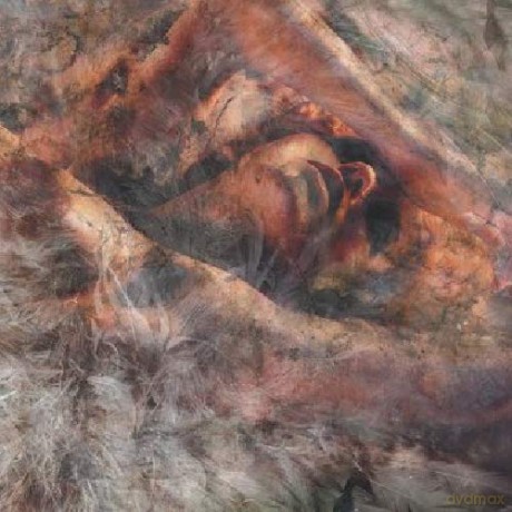 Converge: Unloved And Weeded Out (digipack) [CD]
