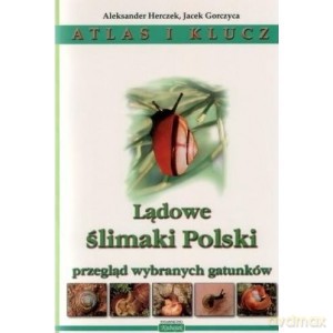 Lądowe ślimaki Polski Atlas i klucz - Aleksander Gorczyca Jacek Herczek [KSIĄŻKA]