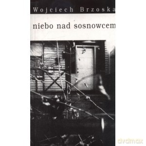 Niebo nad sosnowcem - Wojciech Brzoska [KSIĄŻKA]