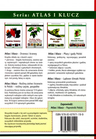 Owady Polski Altas i klucz - Gębicki Cezary [KSIĄŻKA]