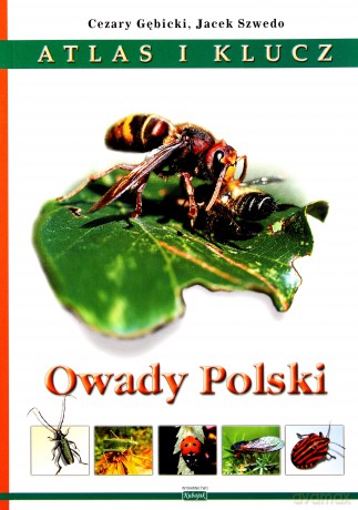 Owady Polski Altas i klucz - Gębicki Cezary [KSIĄŻKA]