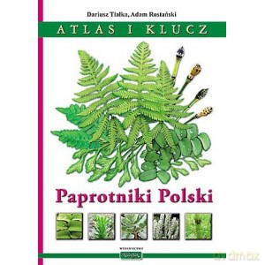 Paprotniki Polski Atlas i klucz - Tlałka Dariusz [KSIĄŻKA]