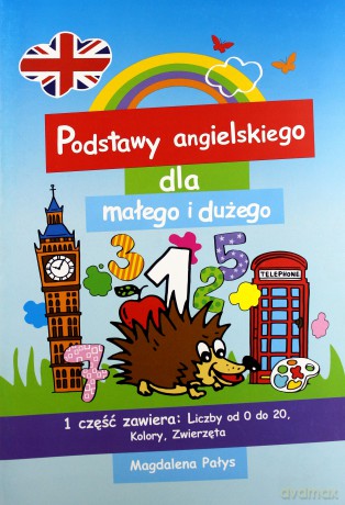 Podstawy angielskiego dla dużego i małego - Magdalena Pałys [KSIĄŻKA]