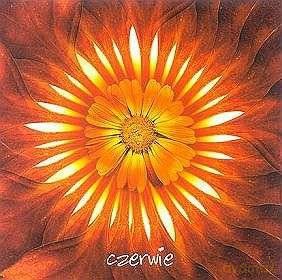 Czerwie: Padlina [CD]