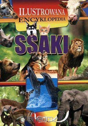 Ilustrowana encyklopedia. Ssaki [KSIĄŻKA]