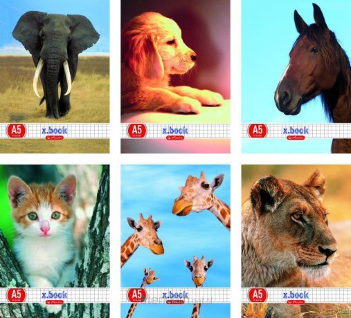 Zeszyt A5/32K linia Animals (10 szt)