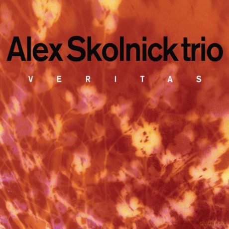 Alex Skolnick Trio: Veritas (digipack) [CD]