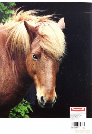 Brulion A5/60K linia 1088 Horses (10 szt)