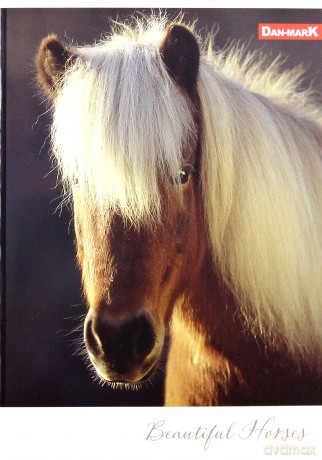 Brulion A5/60K linia 1088 Horses (10 szt)