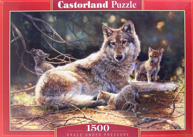 CASTOR 1500 el. Grace under Pressure [PUZZLE]