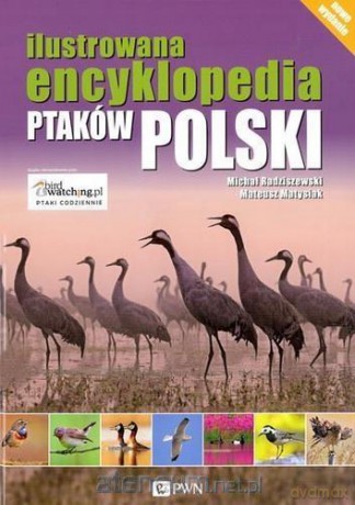 Ilustrowana encyklopedia ptaków Polski [KSIĄŻKA]