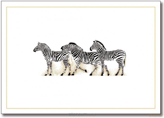 Karnety mini Zebra (14 szt)
