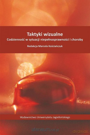 Taktyki wizualne. Codzienność w sytuacji niepełnosprawności i choroby [KSIĄŻKA]