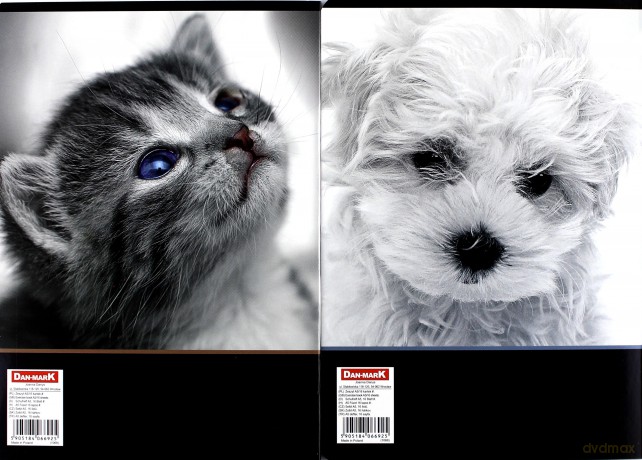 Zeszyt A5/16K kratka Cat&Dog (20 szt)