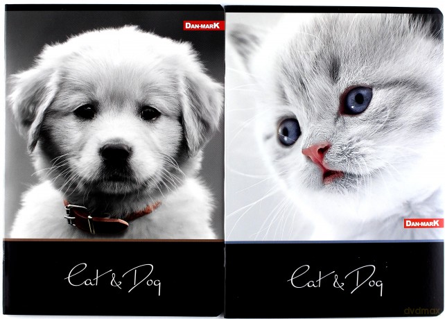 Zeszyt A5/16K kratka Cat&Dog (20 szt)