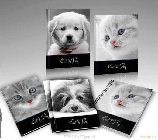 Zeszyt A5/16K linia Cat&Dog (20 szt)