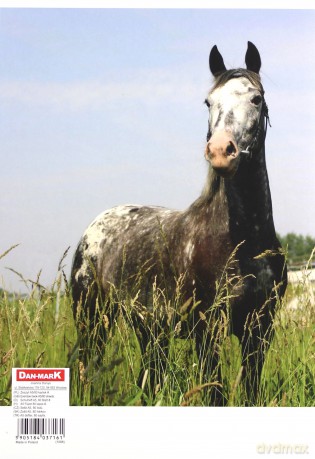 Zeszyt A5/80K kratka 1088 Horses (10 szt)