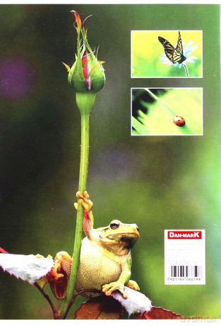 Zeszyt A5/80K linia 1087 Animals (10 szt)