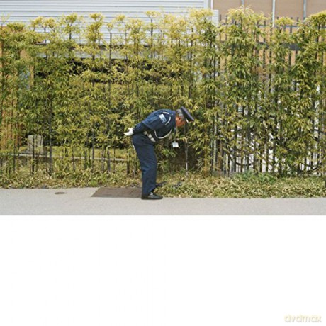 Gold Panda: Good Luck And Do Your Best [CD]