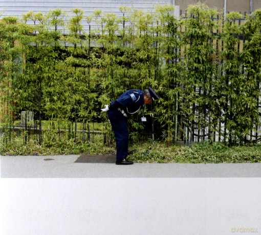 Gold Panda: Good Luck And Do Your Best [CD]