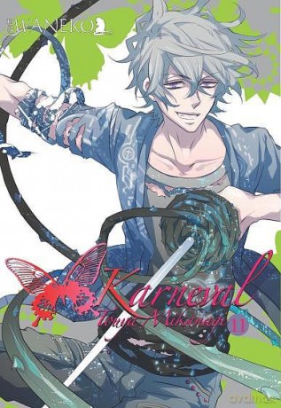 Karneval (Tom 11) - Touya Mikanagi [KOMIKS]