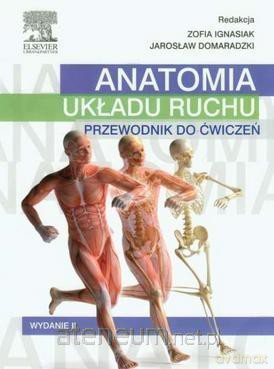 Anatomia układu ruchu. Przewodnik do ćwiczeń - Z. Ignasiak [KSIĄŻKA]
