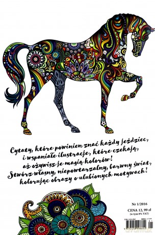 Gallop. Koń i jeździec [KSIĄŻKA]