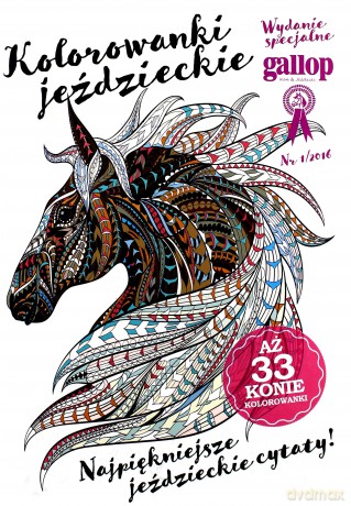 Gallop. Koń i jeździec [KSIĄŻKA]