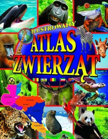 Ilustrowany atlas zwierząt [KSIĄŻKA]