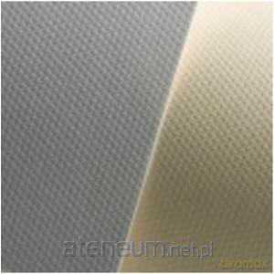 Karton A2 250 g złoty + srebrny quartet (20 szt)