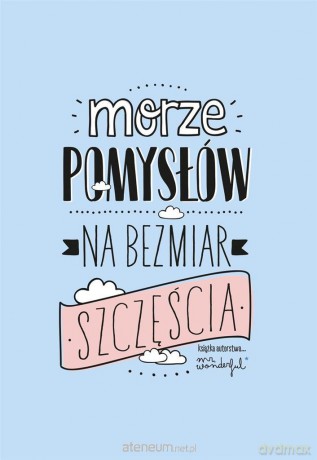 Morze pomysłów na bezmiar szczęścia - Mr. Wonderful [KSIĄŻKA]