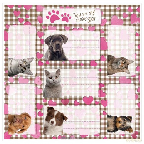 Nalepki na zeszyty Star Animals (50 szt)