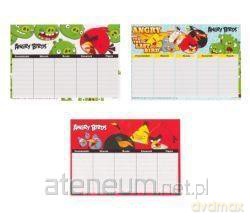 Plan Lekcji Angry Birds (25 szt)