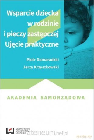 Wsparcie dziecka w rodzinie i pieczy zastępczej - Jerzy Krzyszkowski, Piotr Domaradzki [KSIĄŻKA]