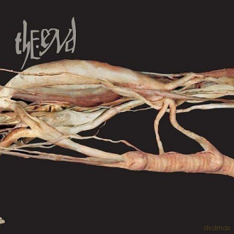 The End: Transfer Trachea Reverberations [CD]