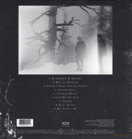 The Raveonettes: Raven In The Grave [Winyl]
