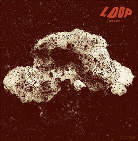 Loop: Array 1 [Winyl]
