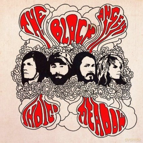 The Black Angels: Indigo Meadow [Winyl]