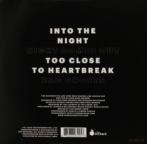 The Raveonettes: Into The Night [Winyl]