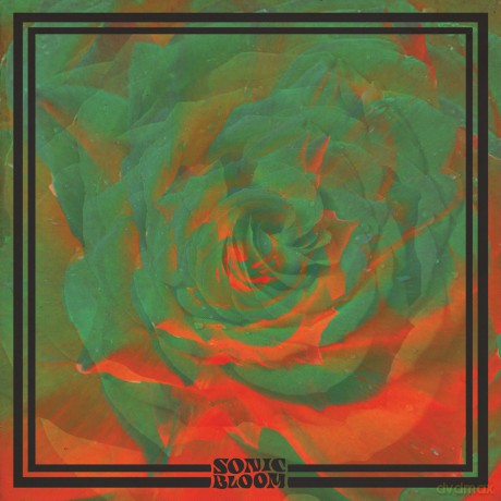 Night Beats: Sonic Bloom [Winyl]