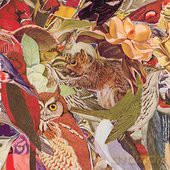 Everlovely Lightningheart: Cusp (ecopack) [CD]