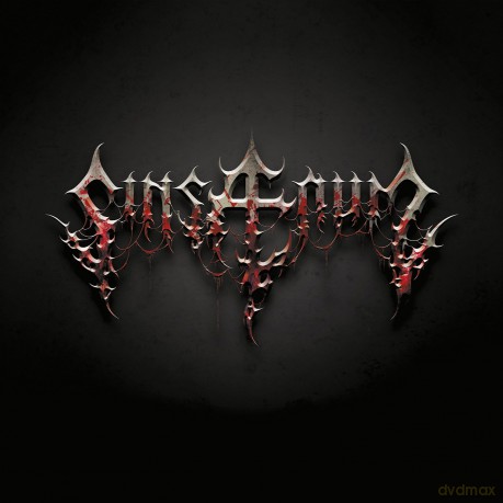Sinsaenum: Sinsaenum [Winyl]