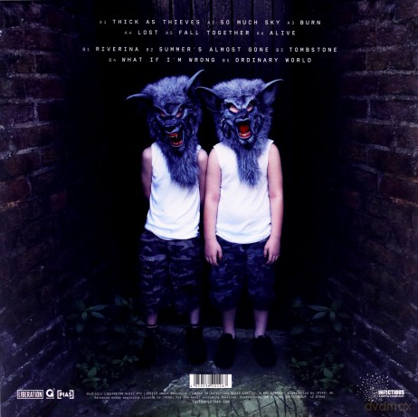 The Temper Trap: Thick As Thieves [Winyl]
