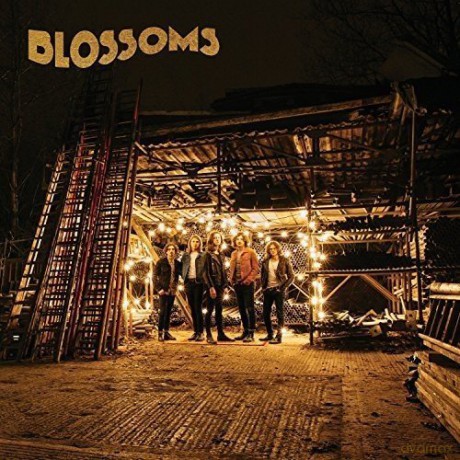 Blossoms: Blossoms [CD]